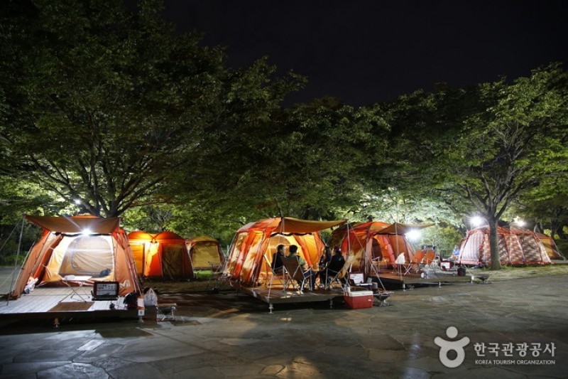 Jeju Island Special Tourist Zone  (23/28)