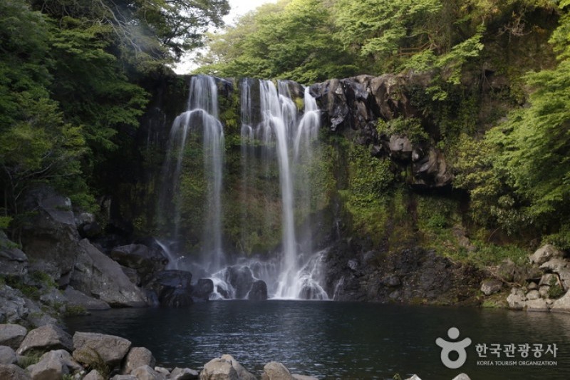 Jeju Island Special Tourist Zone  (24/28)