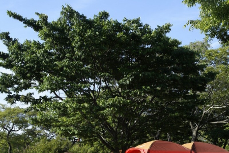 Jeju Island Special Tourist Zone  (27/28)