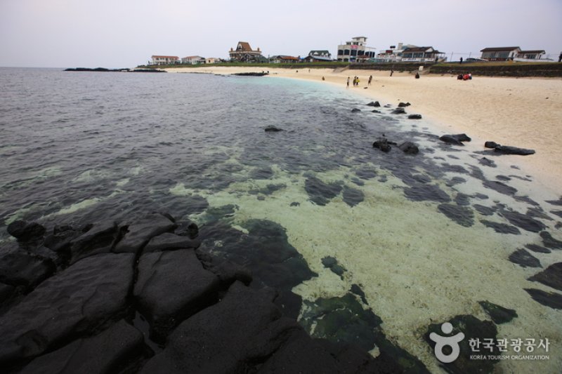 Jeju Olle Trail - Route 1-1  (1/3)