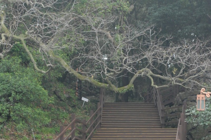 Jeju Olle Trail - Route 15  (1/4)
