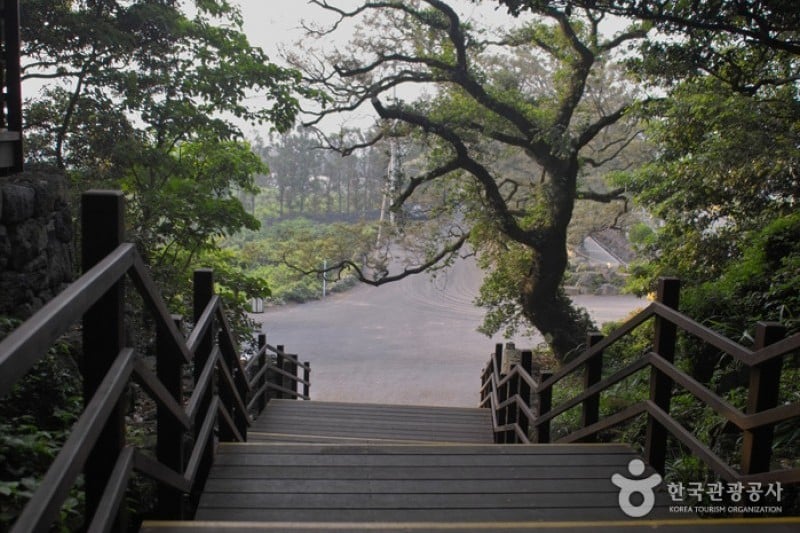 Jeju Olle Trail - Route 15  (2/4)