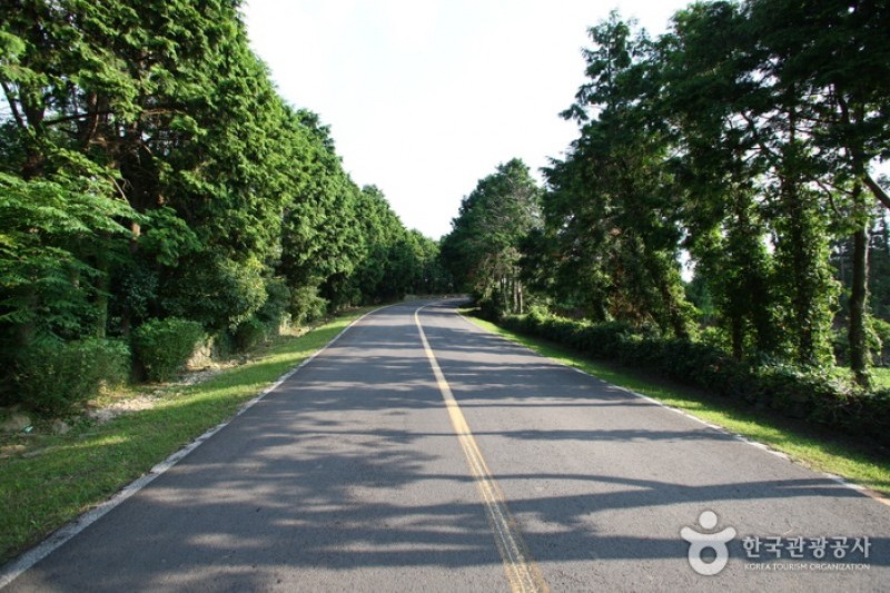 Jeju Olle Trail - Route 16  (7/13)