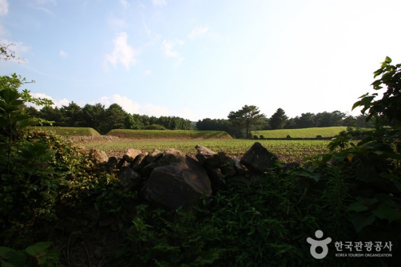 Jeju Olle Trail - Route 16  (8/13)