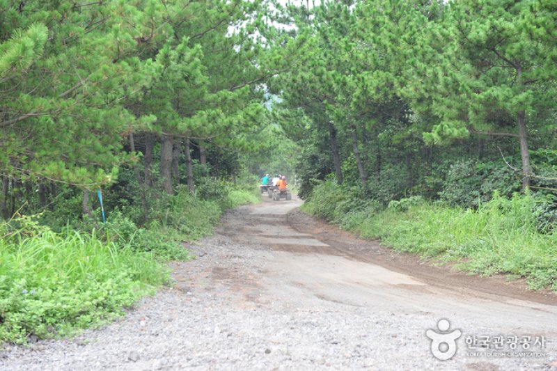 Sanbada ATV Experience Center  (5/5)