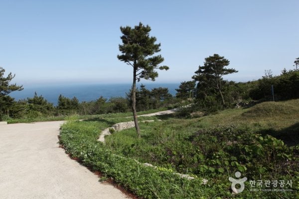 Jeju Olle Trail