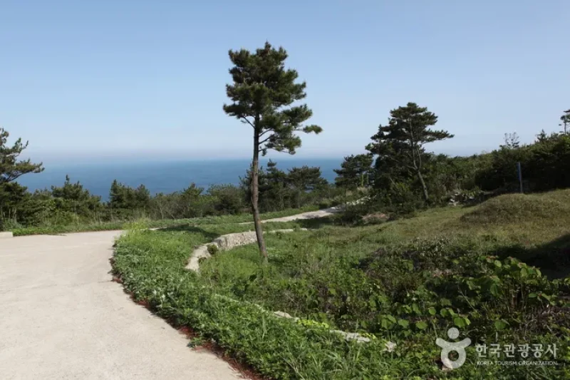 Jeju Olle Trail - Route 18-1 (Chujado Island Olle) (제주올레 18-1코스 (추자도 올레)) (1/1)