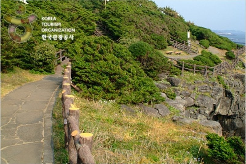 Namwon Keuneong Promenade (남원 큰엉해안) (9/21)