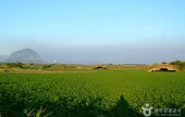 Altteureu Airfield &amp; Japanese Occupation-Era Hangars 