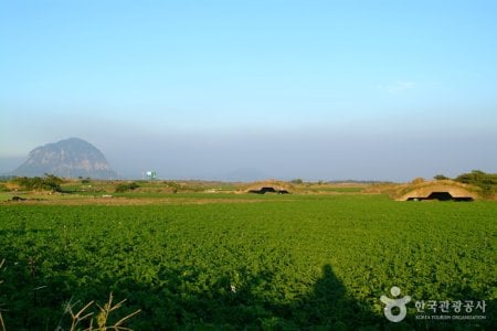 Altteureu Airfield & Japanese Occupation-Era Hangars 