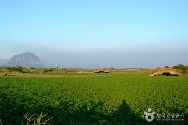 Altteureu Airfield & Japanese Occupation-Era Hangars