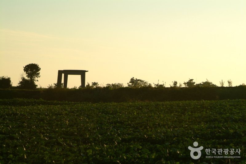 Altteureu Airfield &amp; Japanese Occupation-Era Hangars  (2/6)
