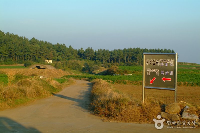 Altteureu Airfield &amp; Japanese Occupation-Era Hangars  (5/6)