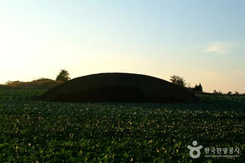 Altteureu Airfield &amp; Japanese Occupation-Era Hangars  (6/6)