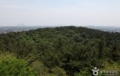Jeoji Oreum (Dakmol Oreum)