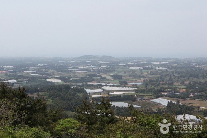 Jeoji Oreum (Dakmol Oreum) (5/14)