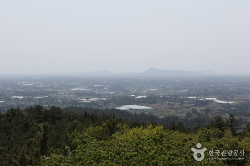 Jeoji Oreum (Dakmol Oreum) (8/14)