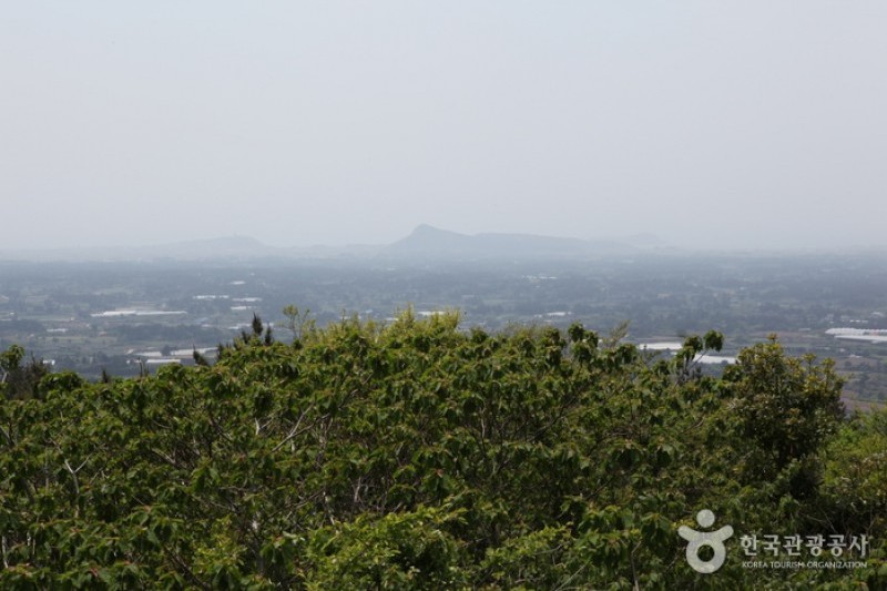 Jeoji Oreum (Dakmol Oreum) (9/14)