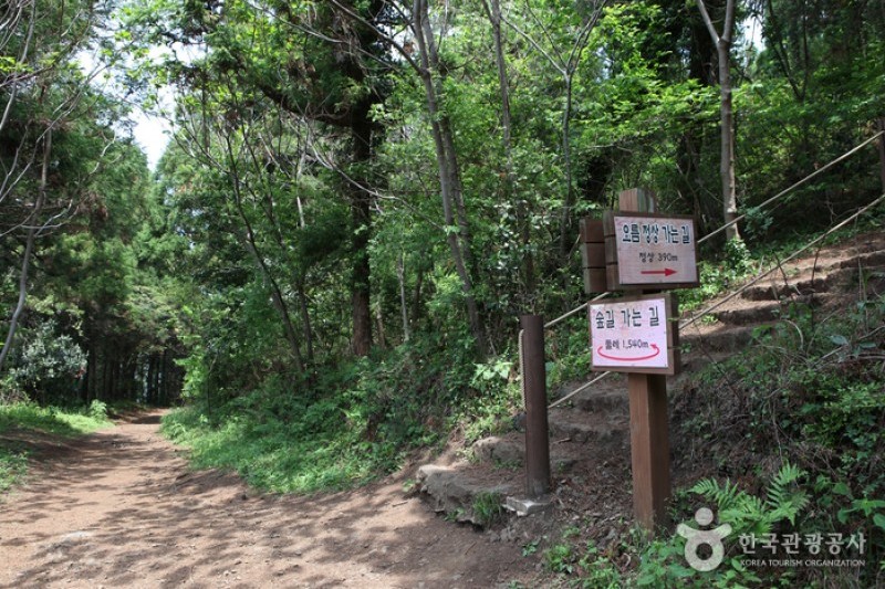 Jeoji Oreum (Dakmol Oreum) (14/14)