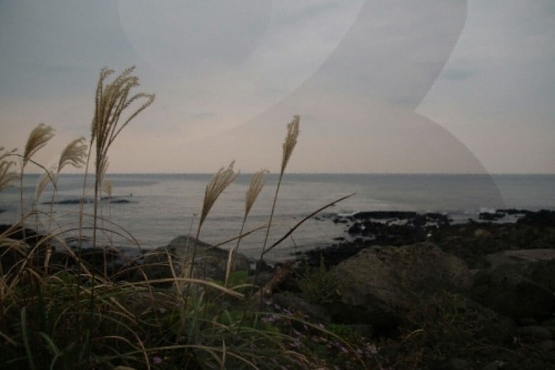 Sinpung Sincheon Bada Mokjang (Seaside Ranch) (신풍 신천 바다목장) (1/6)