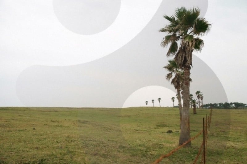 Sinpung Sincheon Bada Mokjang (Seaside Ranch) (신풍 신천 바다목장) (3/6)