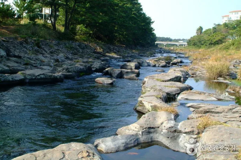 Gangjeongcheon Stream (강정천) (1/5)