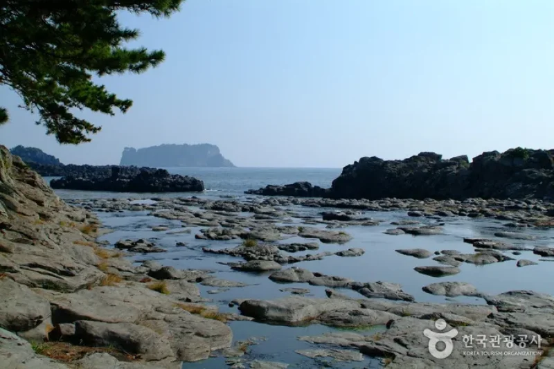 Gangjeongcheon Stream (강정천) (2/5)
