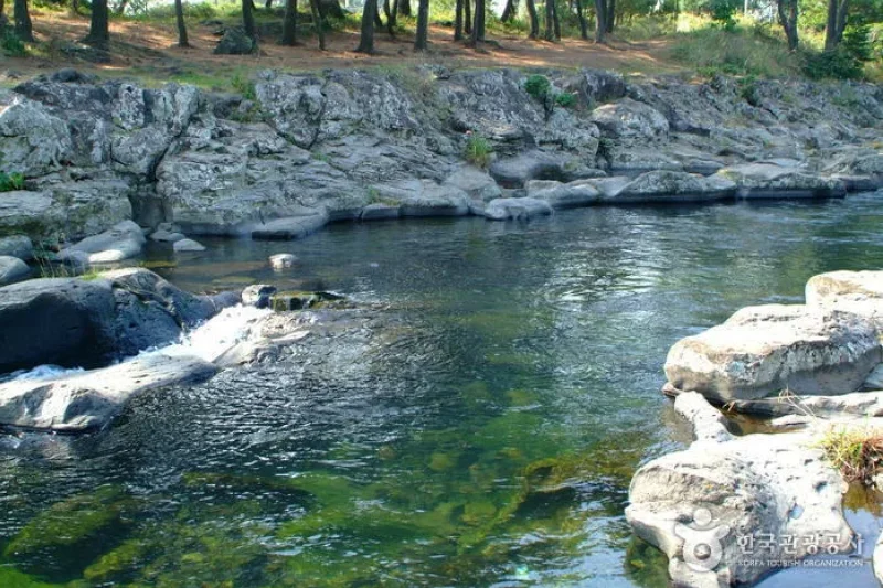 Gangjeongcheon Stream (강정천) (3/5)
