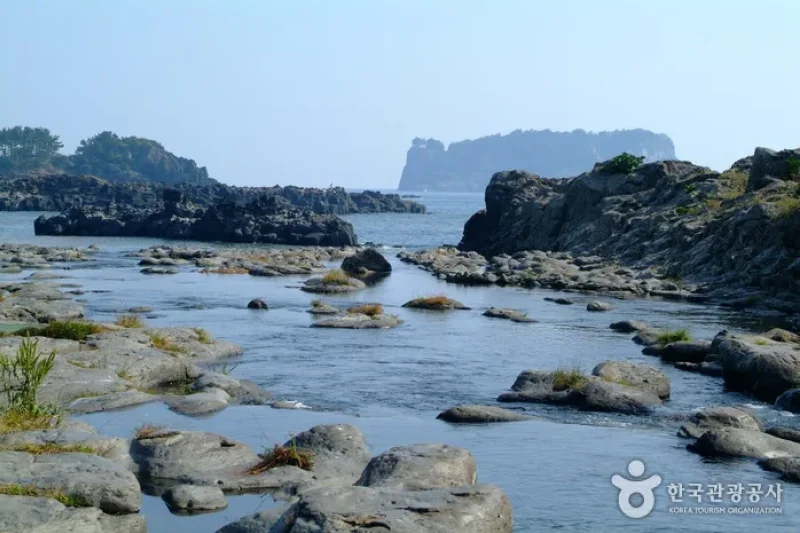Gangjeongcheon Stream (강정천) (4/5)