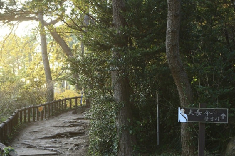Dombenang-gil Road (돔베낭길) (1/5)