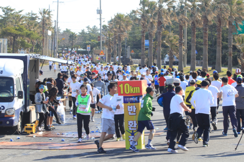 Jeju MBC International Peace Marathon (제주국제평화마라톤) (6/7)