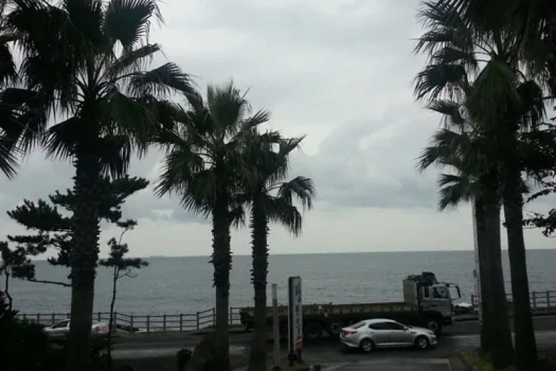 Yongduam Haesu Spa Land (용두암해수랜드) (4/4)