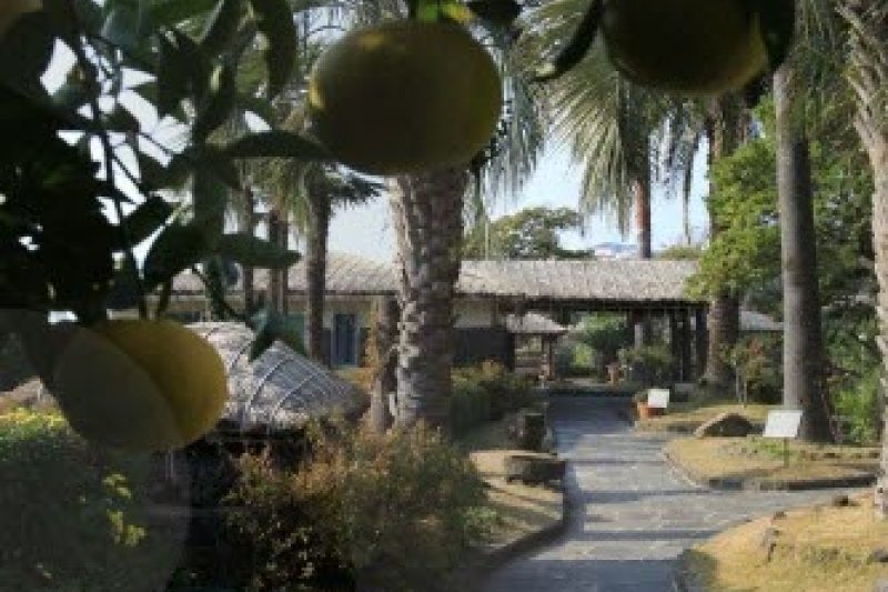 The Seaes Hotel & Resort  (11/14)