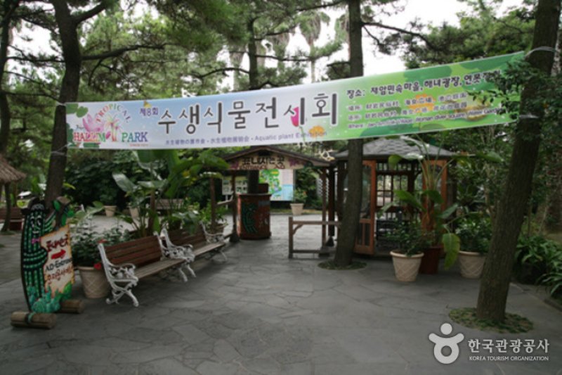 Stone Grandfather Restaurant  (4/10)