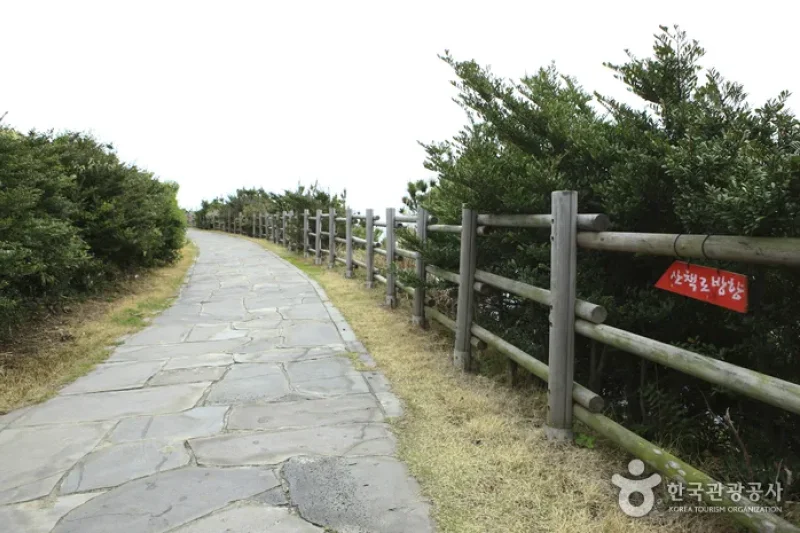 Namwon Keuneong Promenade (남원 큰엉해안) (12/21)