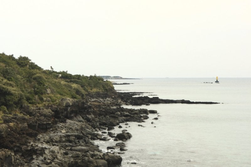 Namwon Keuneong Promenade (남원 큰엉해안) (17/21)