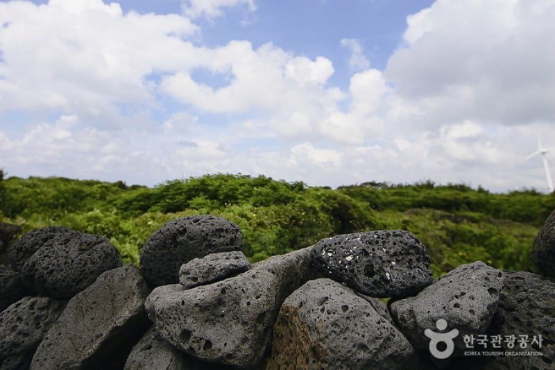 Jeju Island Special Tourist Zone  (28/28)