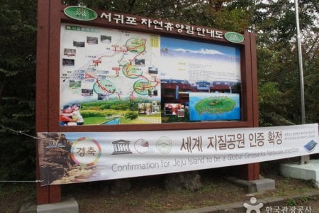 Seogwipo Natural Recreation Forest 