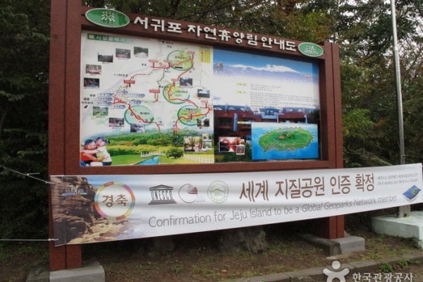 Seogwipo Natural Recreation Forest