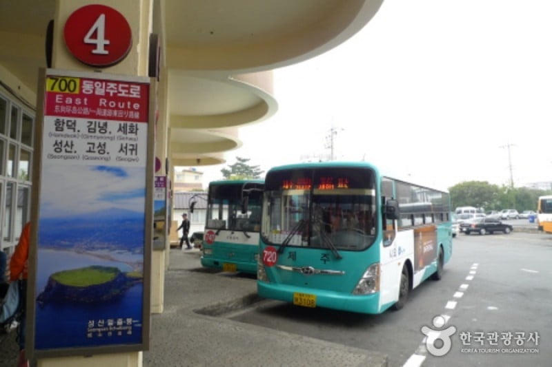 Jeju Intercity Bus Terminal  (3/3)
