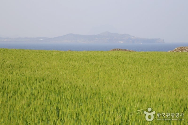 Songaksan Mountain  (6/6)