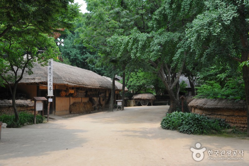 Korean Folk Village  (5/29)