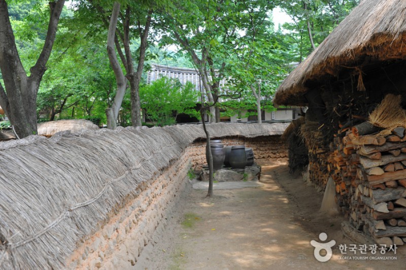 Korean Folk Village  (6/29)