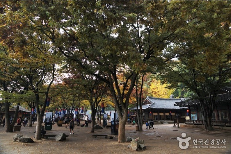 Korean Folk Village  (9/29)