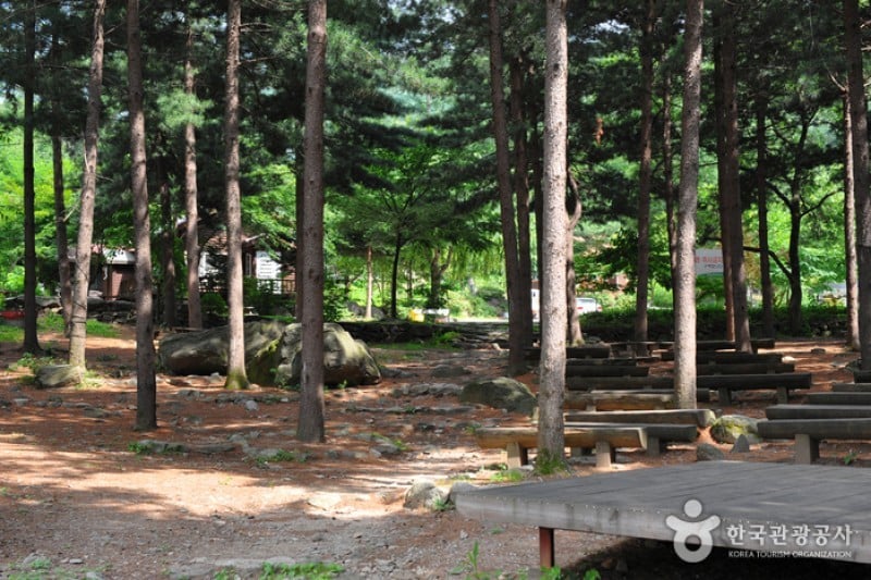 Yumyeongsan Mountain Natural Recreation Forest  (1/12)