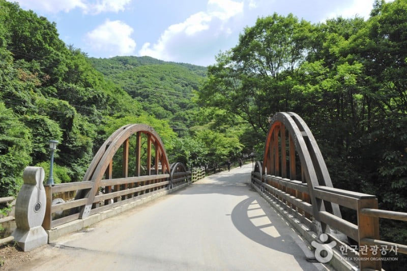 Yumyeongsan Mountain Natural Recreation Forest  (2/12)