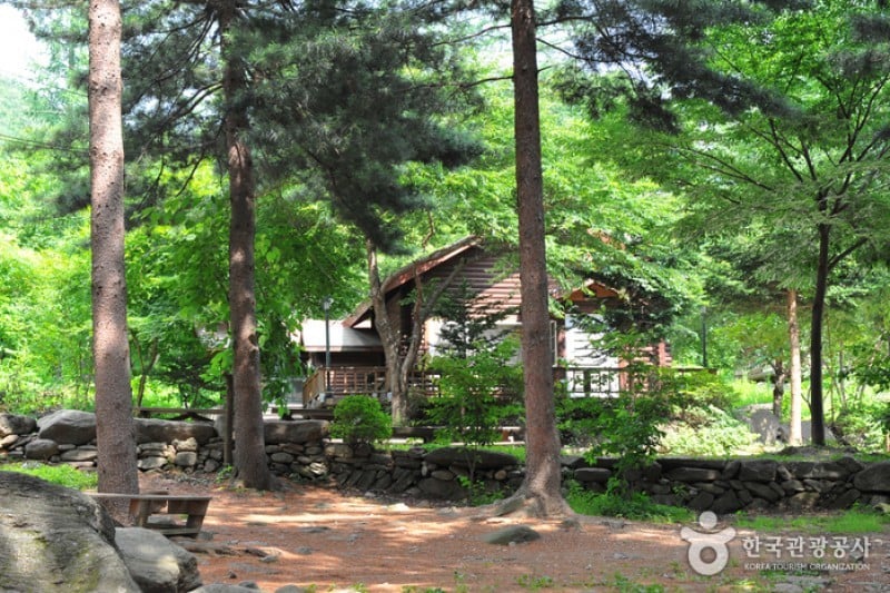 Yumyeongsan Mountain Natural Recreation Forest  (3/12)