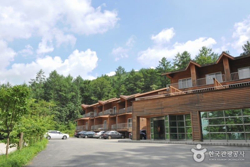 Yumyeongsan Mountain Natural Recreation Forest  (5/12)