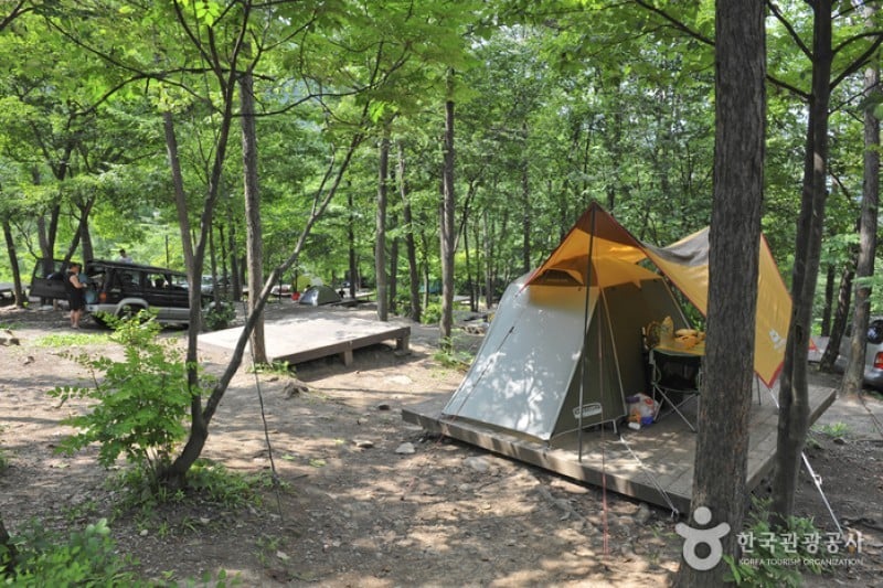 Yumyeongsan Mountain Natural Recreation Forest  (6/12)