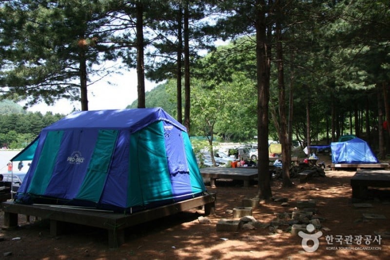 Yumyeongsan Mountain Natural Recreation Forest  (7/12)